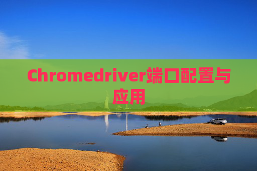 Chromedriver端口配置与应用